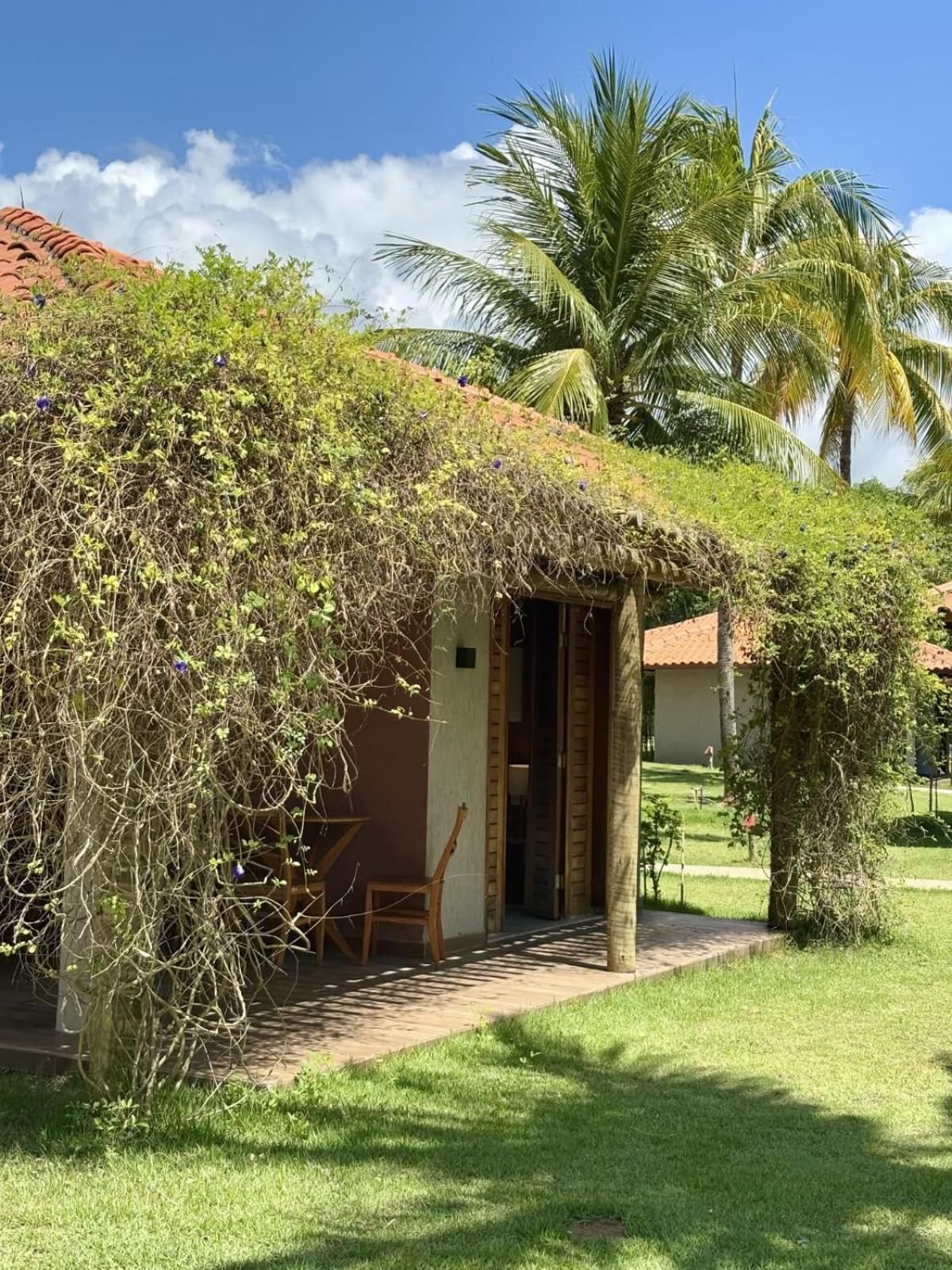Anga Beach Hotel São Miguel dos Milagres Exteriér fotografie